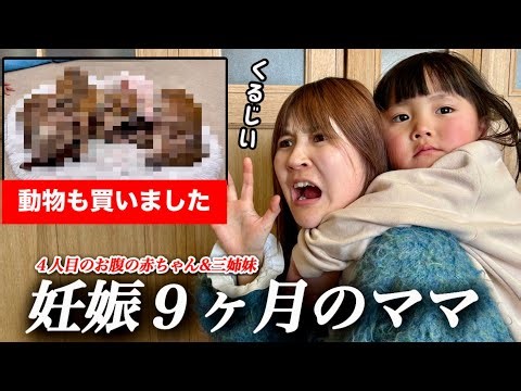 [9 months pregnant] Three sisters who will soon be having babies! Mom is busy with the weekday ro...