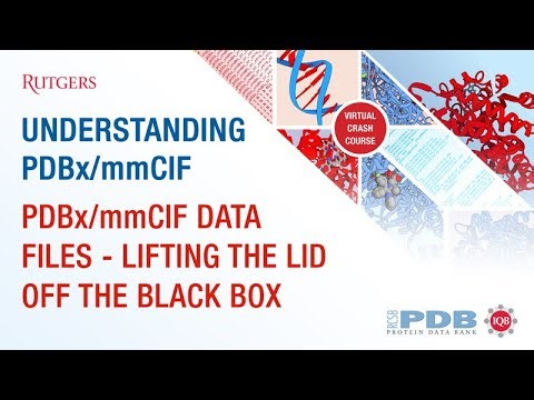 PDBx/mmCIF data files - Lifting the lid off the black box
