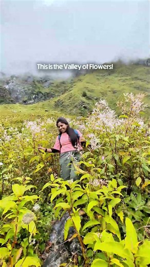 Best Monsoon Trek in India 🌸 | Valley of Flowers & Hemkund Sahib | Uttarakhand Travel #uttrakhand