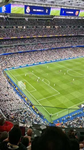 MasterCamp Kampery on Reels