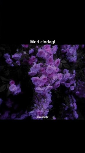 yeh kiya hain mene uske liye...😔💔#trending#viral#shorts#edit#shirinfarhad #sad #asthetic #song