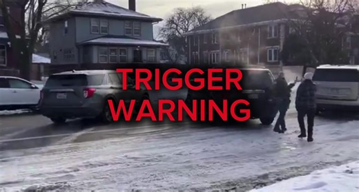 DO NOT WATCH THIS VIDEO IF YOU ARE SENSITIVE TO GUN VIOLENCE ! Another POV of an ICE agent murdering an American citizen. A woman just trying to leave & they shot her. DHS is lying saying the agent acted in self defense.