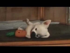 Bolt ♥ Puppy ♥ Scene