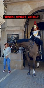 Ormonde's Guarded Return: Keeping Tourists in Check! **Description:** As summer approaches, Ormonde the royal horse is back on duty, ensuring his personal space remains respected while welcoming the sunny season! **Hashtags:** #FB #Reels #OrmondeTheHorse #SummerVibes #HorseGuards #LondonLife #TouristTales #RoyalEquine #ViralReel #GuardiansOfTheRealm | The Royals King's Guard's England