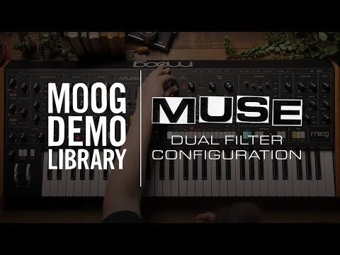 Muse | Dual Filter Configuration