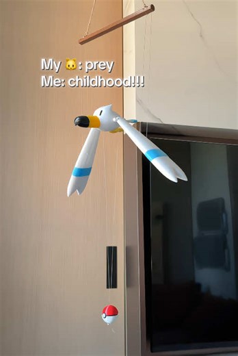 Finally discovered our shared interest 😆#pokemon #cute #omg #goodthing