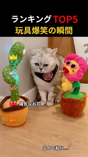 玩具爆笑の瞬間Top5
