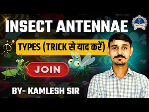 Types & Modifications of Insect Antennae | Easy Tricks |Fundamentals of Entomology | BSc Agriculture