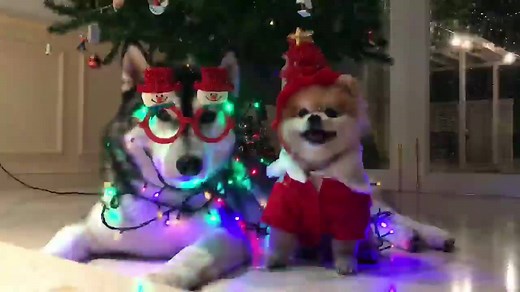 8.9M views · 28K reactions | George Lopez on Reels | Facebook