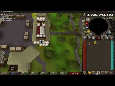 OSRS agility ardougne rooftop