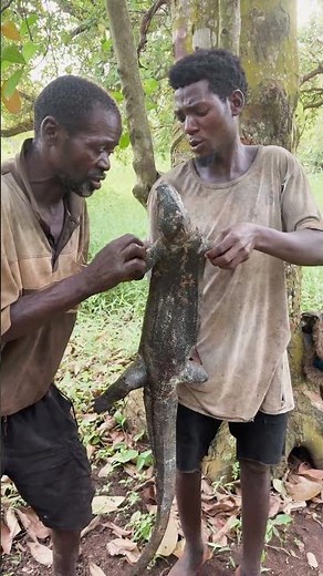 what type of lizards they eat🥩🥩🌶️🌶️🌶️🍅🧆🥩🥩#animals #wildlife