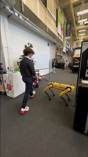 Dog Robot Can't Be Pushed Over #shorts