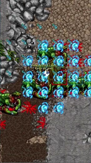 Back to Back Echo Raids #tibia #echoRaid #summerupdate2026