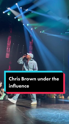 Chris Brown and Usher Concert Moments