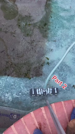 #welldone #clean #dirty #fyp #4u #fypシ #poolcleaning #tiktok #transformation #water #windy #superdirty #satysfying #poolcleaningservice #itry #pool