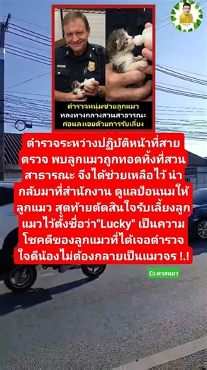 ตำรวจพบลูกแมวจรและรับเลี้ยงไว้#ลูกแมวจร #ลูกแมว #ลูกแมวน่ารัก #ช่วยเหลือสัตว์ #แมวจรก็มีหัวใจ
