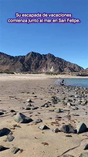 ¿Buscas una escapada tranquila junto al mar? 🌊 Visite San Felipe, Baja California esta temporada de vacaciones y disfrute de vistas al mar, playas tranquilas y vida costera. Reserve su alquiler en San Felipe hoy. San Felipe Baja California #VisitSanFelipe #Alquileres de SanFelipe #BajaCaliforniaViaje #MarDeCortez #BeachVacationMéxico