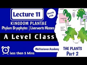 Plant Kingdom Part 2 - Phylum Bryophytes [Liverworts & Mosses ]