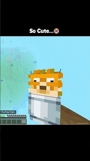Minecraft: Actions & Stuff Cutest Animations