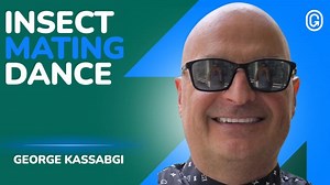 Poker, Stoicism Startups: Mental Models That Actually Work | Michael Smith Jr.