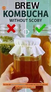 SCOBY-Free KOMBUCHA That Actually Tastes Good #kombucha #recipe #diy