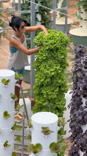 Vertical farming with aeroponic towers allows you to grow up to 52 plants per square meter without the use of soil #verticalfarming #aeroponics #towergarden #farming #agriculture #hydroponics #potager #soilless | Agrotonomy Tower Farms