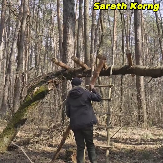 Shelter woman survival on a fallen tree hut building a warm cozy secret log | Dungannon Thomas Clarkes