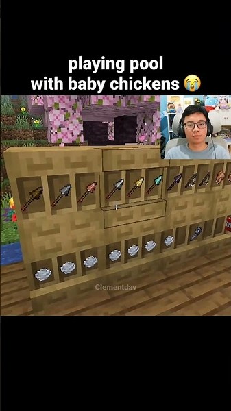 Minecraft Baby Chicken Pool Moment
