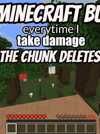 Minecraft: Chunk Deletes Every Time I Take Damage