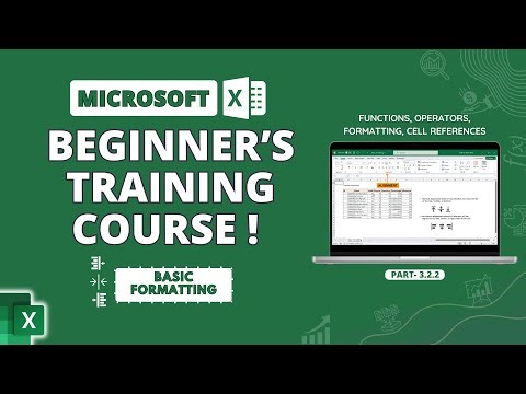 Microsoft Excel | Basic Formatting Part 2