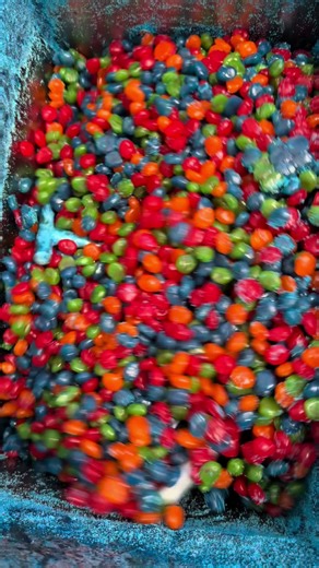 Discover the Hottest Gushers Candy of 2023