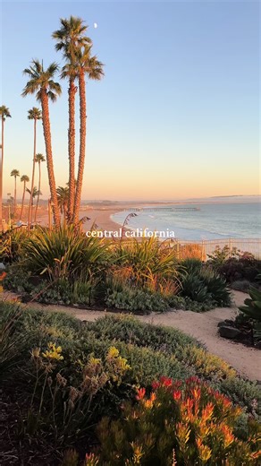 Explore Central California's Coastal Beauty