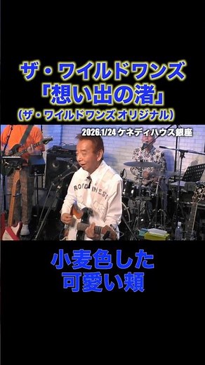 想い出の渚/ザ・ワイルドワンズ #グループサウンズ #ライブ #ワイルドワンズ #昭和歌謡 #加瀬邦彦