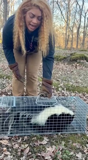 I caught a skunk in my yard… and yes — I cooked it.”