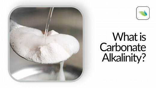 What is Carbonate Alkalinity?