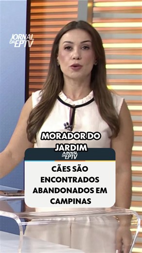 Vizinhos relatam estado de abandono e desnutrição em três cães mantidos em um imóvel no Jardim Leonor, em Campinas. O tutor não é visto há quase três meses. A Prefeitura de Campinas confirmou que os animais estão em condições inadequadas e vai intimar a proprietária do imóvel. #JornalDaEPTVCampinas #campinas #maus-tratos