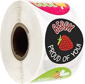 Amazon.com : Motivational Homework Lesson Stickers / 500 School Classroom Grading Labels Roll / 1.5" Bright Teacher Stickers/Made in The USA : Office Products