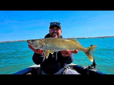 Detroit River Walleye!!!...The Most Underrated Cuts...Catch Clean & Cook