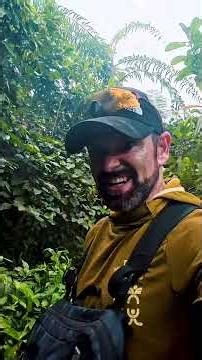 Kita menemukan hot spring di dalam hutan Java coy