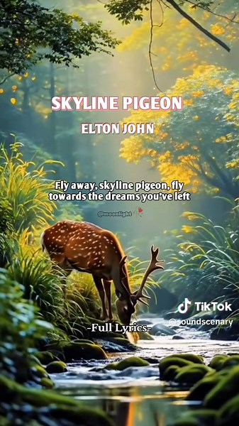Skyline Pigeon by Elton John - Full Lyrics and Insights