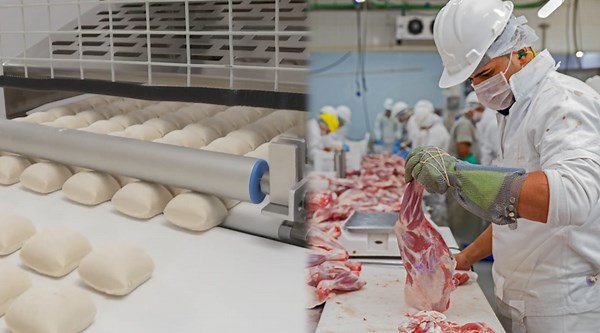 Revolutionary Technology Powering Food Industry Magic