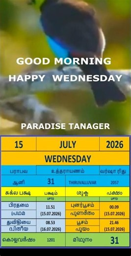 15 07 2026 WEDNESDAY