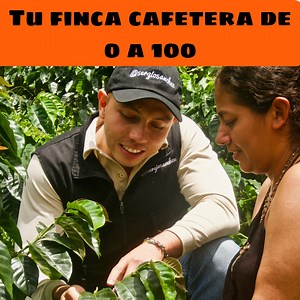☕💥El curso online más completo sobre el cultivo de café 💥☕ Creado por el ingeniero agrónomo 5ergio 5anchez! Ingresa al curso aquí 👇 https://5ergio5anchez.com/tu-finca-cafetera-de-0-a-100/ | Sergio Sánchez - especialista en rentabilidad de los agronegocios cafeteros
