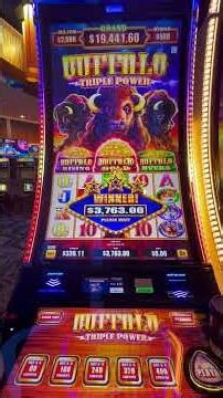 Massive Jackpot on $8.00 bet!