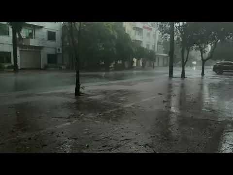 Torrential Rainstorm & Very Huge Thunder With Howling Wind Sounds | Nature Sounds For Sleep, Relax