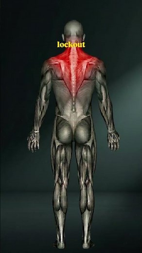 WHICH MUSCLES DOES DEADLIFT ACTUALLY WORK?