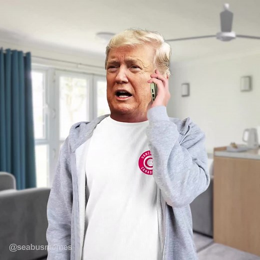 seabusmemes (@seabusmemesofficial)’s videos with original sound - seabusmemes