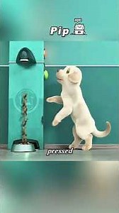 He passed the test, becoming an excellent guide dog. #animation #cartoon #foryou