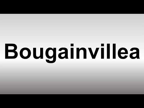 How to Pronounce Bougainvillea