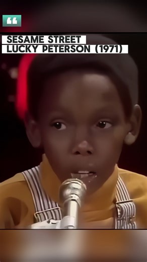 Before he was a blues legend… he was a kid with a Hammond organ and a whole lot of soul. 🎹🔥 Meet Lucky Peterson, the child prodigy who blew audiences away on Sesame Street performing his hit “1, 2, 3.” He wasn’t just playing notes — he was feeling them. Born into the blues, Lucky learned under legends like Willie Dixon and grew up to become one of the most electrifying multi-instrumentalists in music history. Proof that when talent is real, it shows up early. 🖤🎶 #LuckyPeterson #BluesLegend #